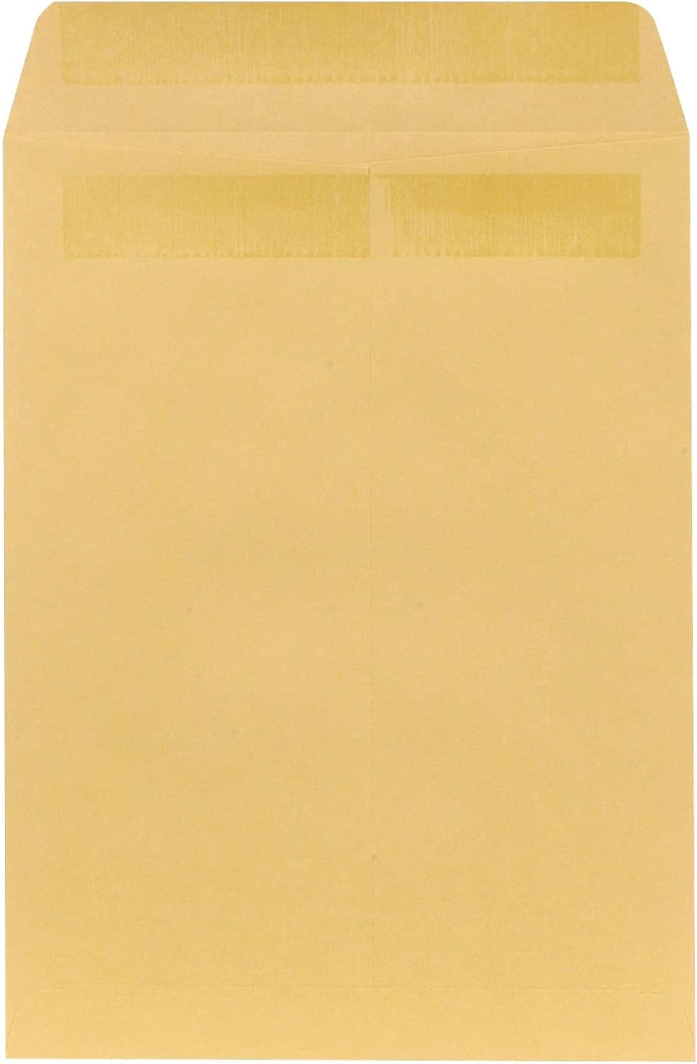 9x12 Self-Seal Catalog Envelopes, Brown Kraft, 100/Box