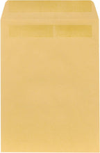 9x12 Self-Seal Catalog Envelopes, Brown Kraft, 100/Box