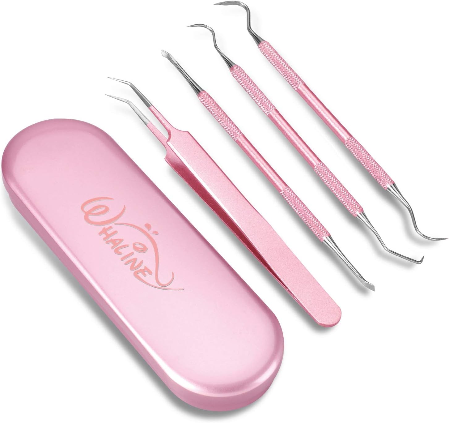Vinyl Weeding Tools Set of 4, Precision Stainless Steel Weeder Kit with Case, Includes Scraper, Hook, Spatula