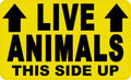 Live Animals This Side Up with Arrows Vinyl Sticker