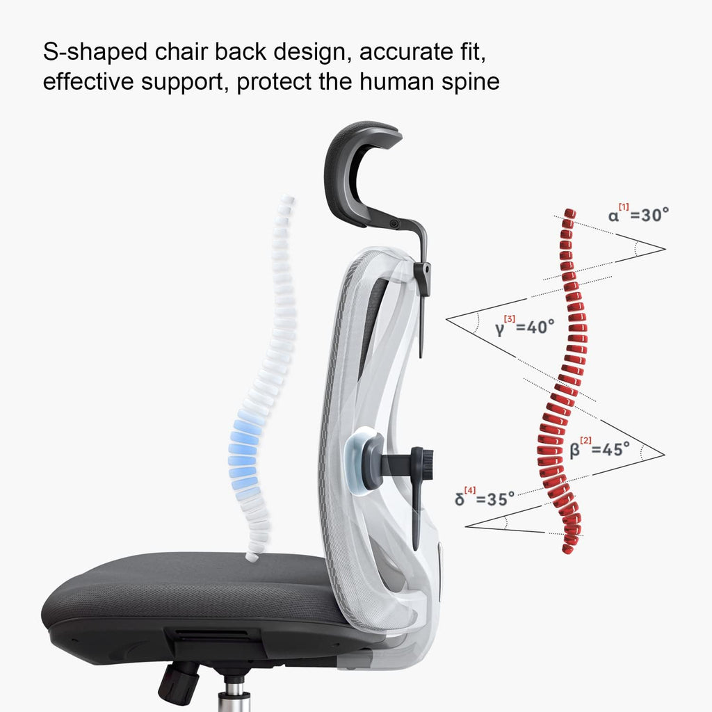 M18 Ergonomic Office Chair, High Back Mesh Desk Chair with Adjustable Headrest & Lumbar Support, Computer Chair with