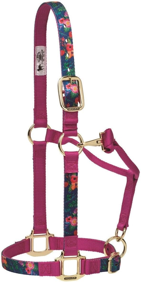 Weaver Leather Adjustable Patterned Nylon Horse Halter, Cactus, Average Horse