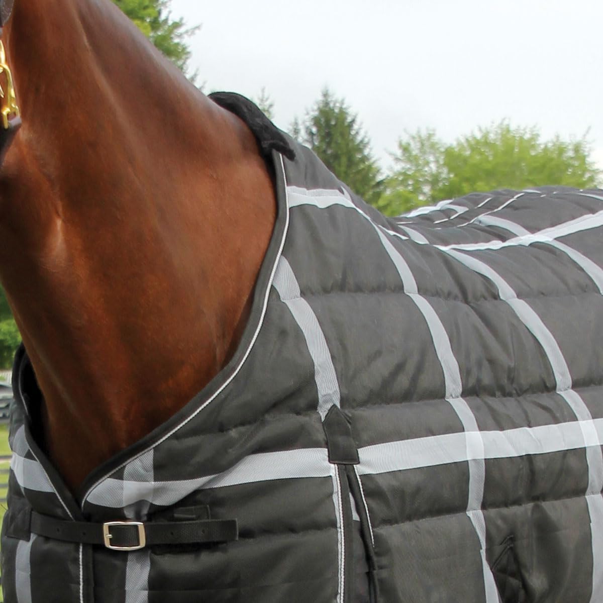 Highland 1200D Lightweight Stable Blanket (78, BlackPlaid)
