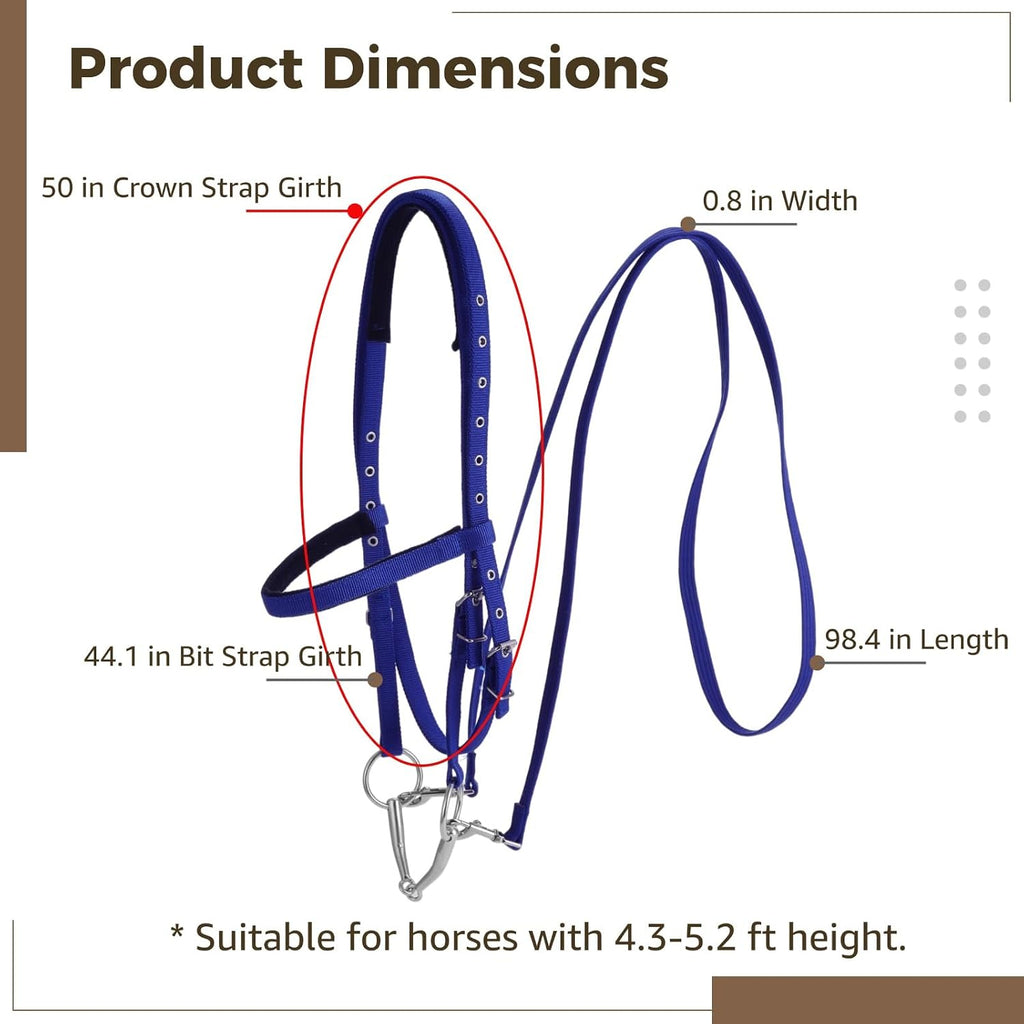 Horse Bridle with Bit, Adjustable Nylon Headstall and Reins, Padded Crown and Noseband, Quick Release Buckle, for