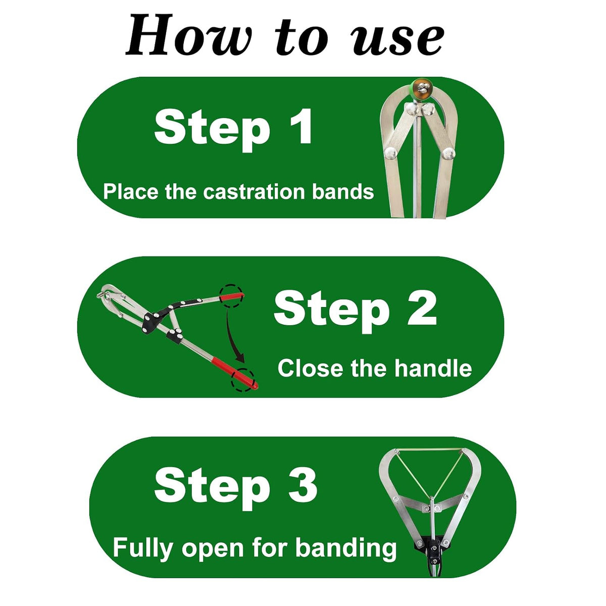 Extra Large Cattle Banding Tools with a Bander and 24pcs Large Bands