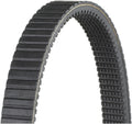 Dayco HP2004 Outdoor Activity Belt, Black