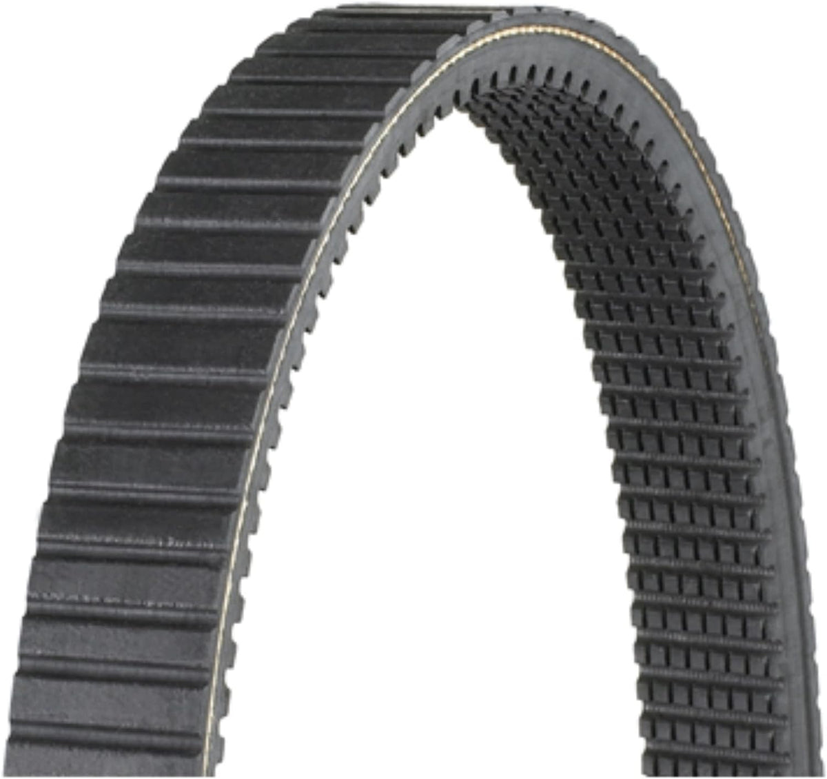 Dayco HP2004 Outdoor Activity Belt, Black