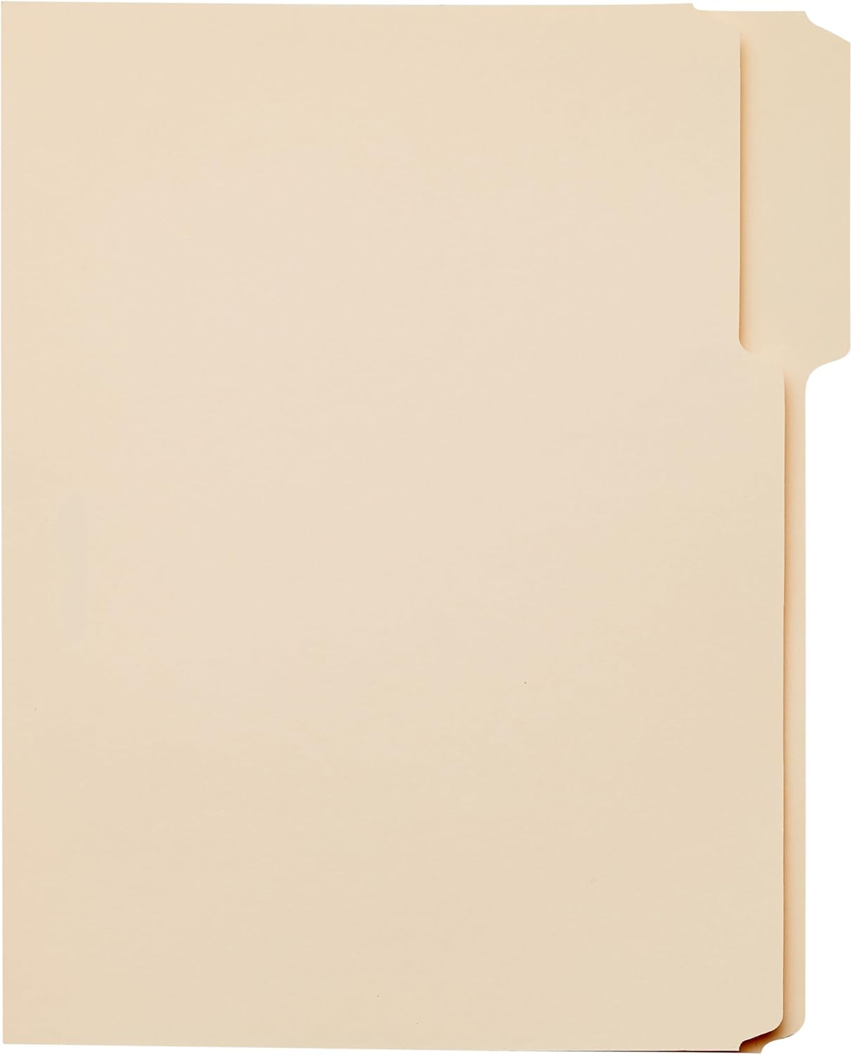 Sturdy File Folders with Reinforced Tabs for Filing and Organization, 1/3-Cut Tab, Assorted Positions, Letter Size