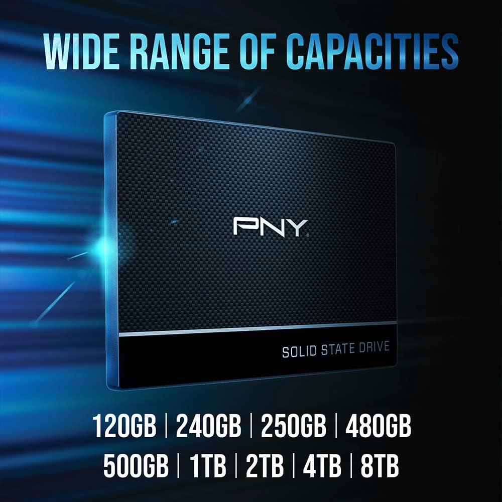 CS900 500GB 2.5" SATA III Internal SSD