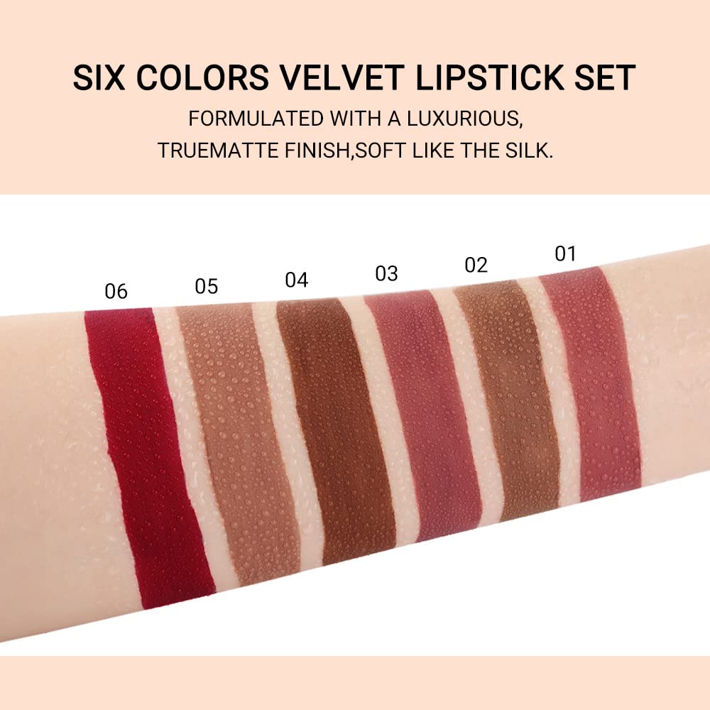 6Pcs Dark Light Nude Brown Matte Matt Liquid Lipstick Lip Gloss Glossy Set for Black Women, 24 Hour Brown Mauve Red