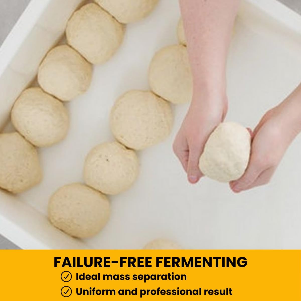 Home Refrigerator Size, Dough Proofing Tray (2 Pack + 1 Lid)