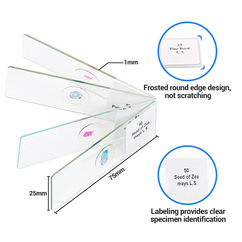 100 Prepared Microscope Slides with Specimens for Kids Adults - Bacterium, Fungus, Human Tissues, Mitosis, Plants