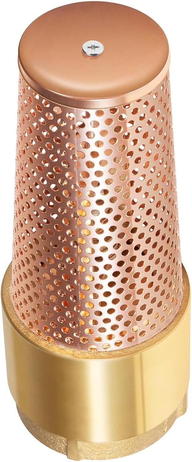 2 Inch Foot Valve One-Way, 2" Female connection -Brass