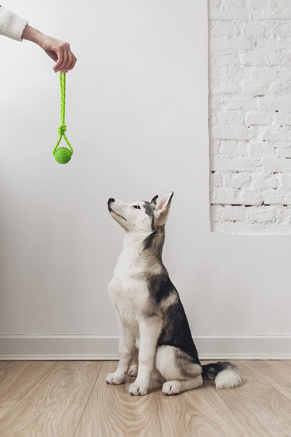 Dog Training Ball on A Rope Rubber Dog Rope Toys Ball with Handle for Tug of War K9 Training Rewards for Belgian
