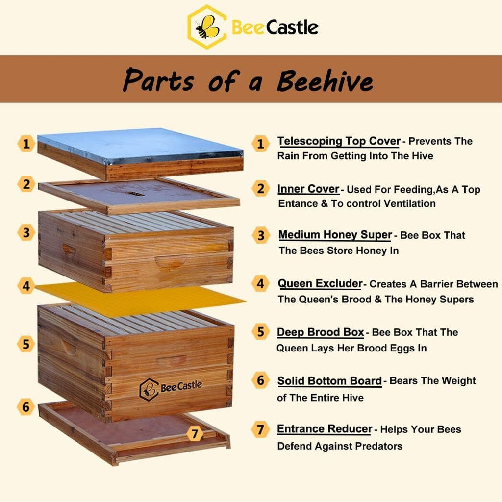 10-Frames Complete Beehive Kit, 100% Beeswax Coated Bee Hive Includes Beehive Frames and Beeswax Coated Foundation
