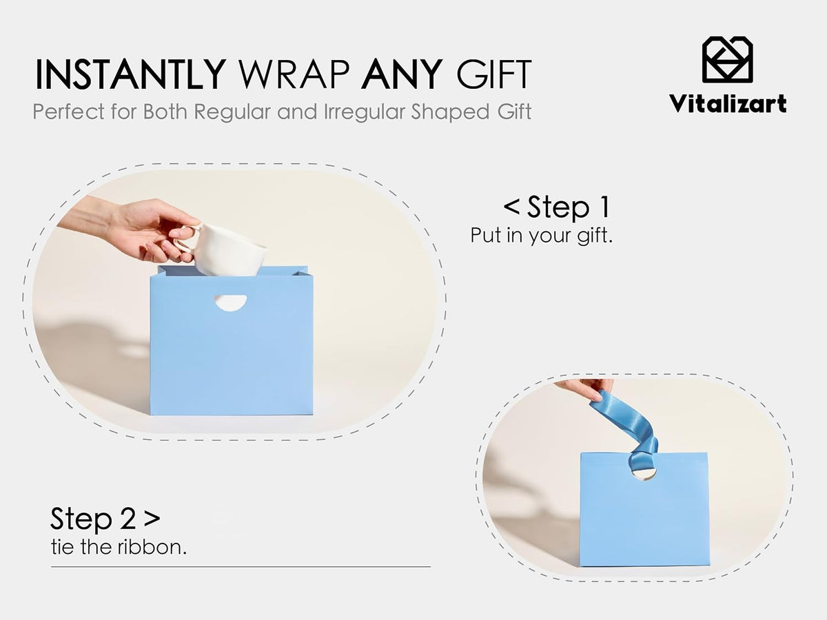 Paper Gift Bags With Ribbon Handles Small Assorted Bulk Pack