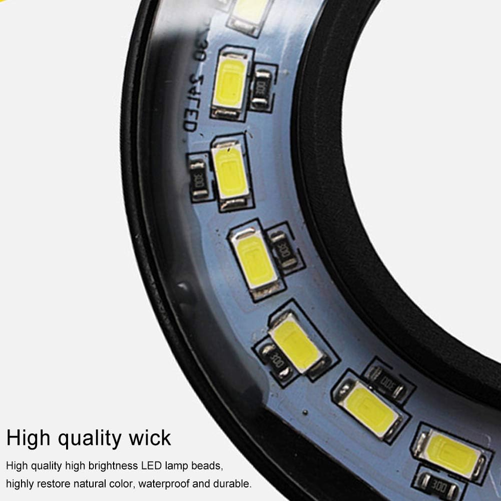 Full Spectrum LED Aquarium Light, USB Powered Lamp for Fish Tank 10w