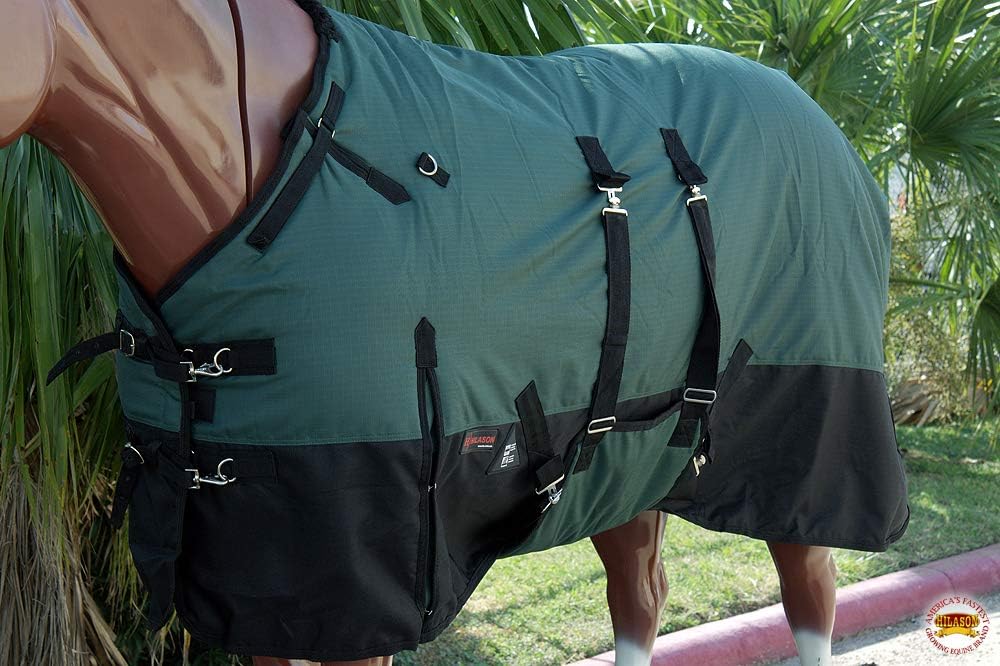 1200D Winter Turnout Blanket Hunter Green Black 78 in