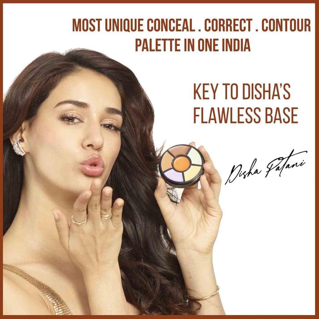 Cosmetics Pro Concealer Palette - Corrector, 15gm