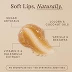 USDA Organic Lip Scrub Vanilla - USA Made with Natural Ingredients