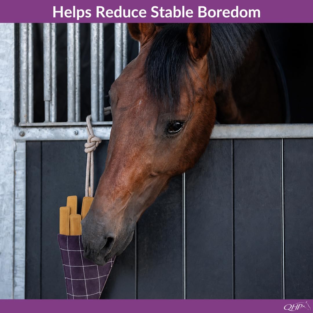 Horse Toy Snackcounter | Horse Stall Toy | Horse Enrichment Toy