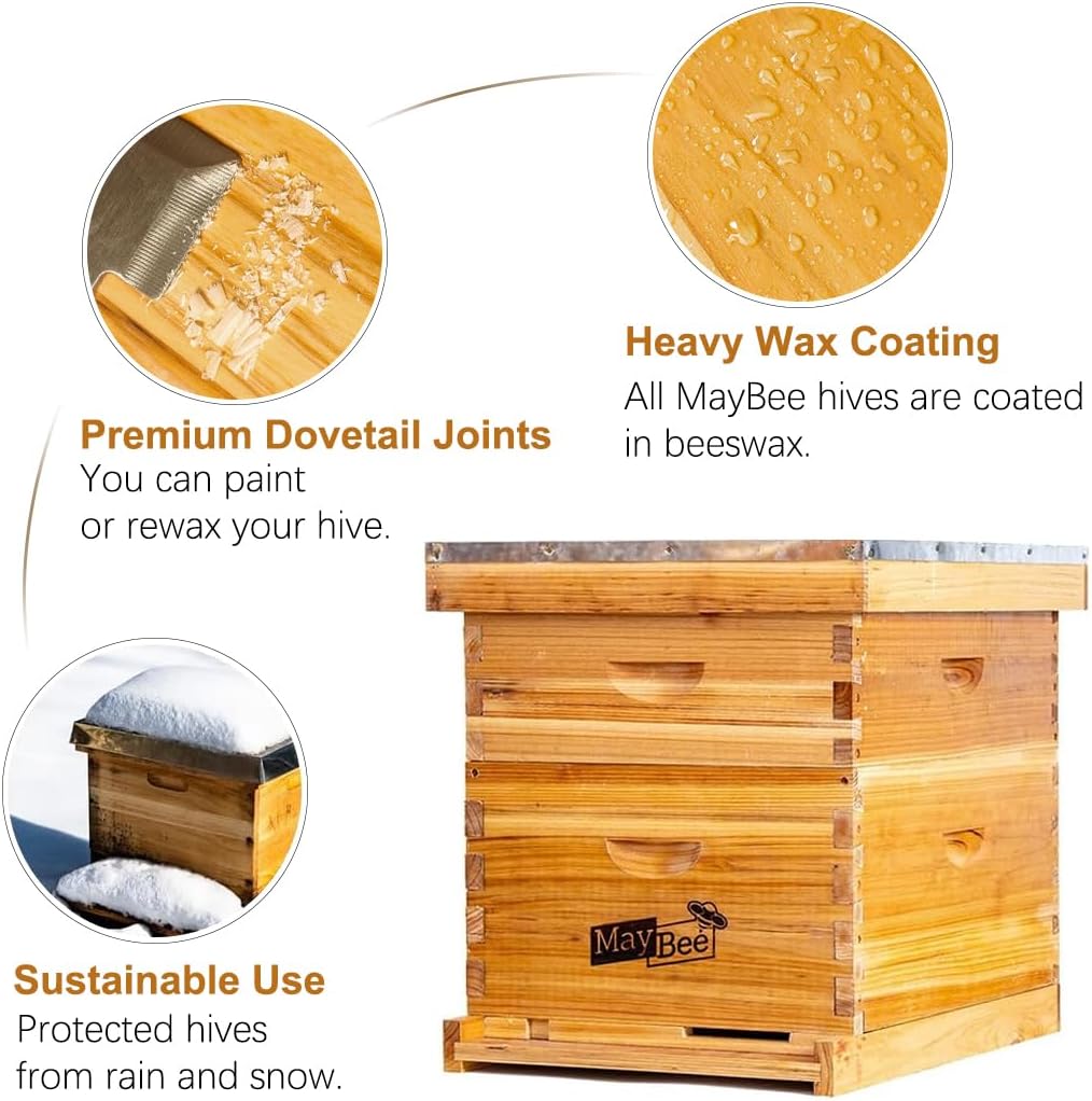 Beehive 8 Frame Bee Hives and Supplies Starter Kit, Bee Hive for Beginner, Honey Bee Hives Includes 1 Deep Bee Boxes