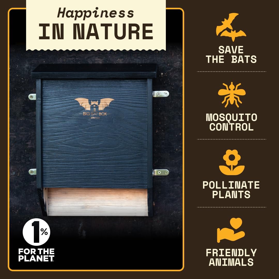BIGBATBOX Bat House for Outdoors - Large 2 Chamber, Black, Holds 75 Bats