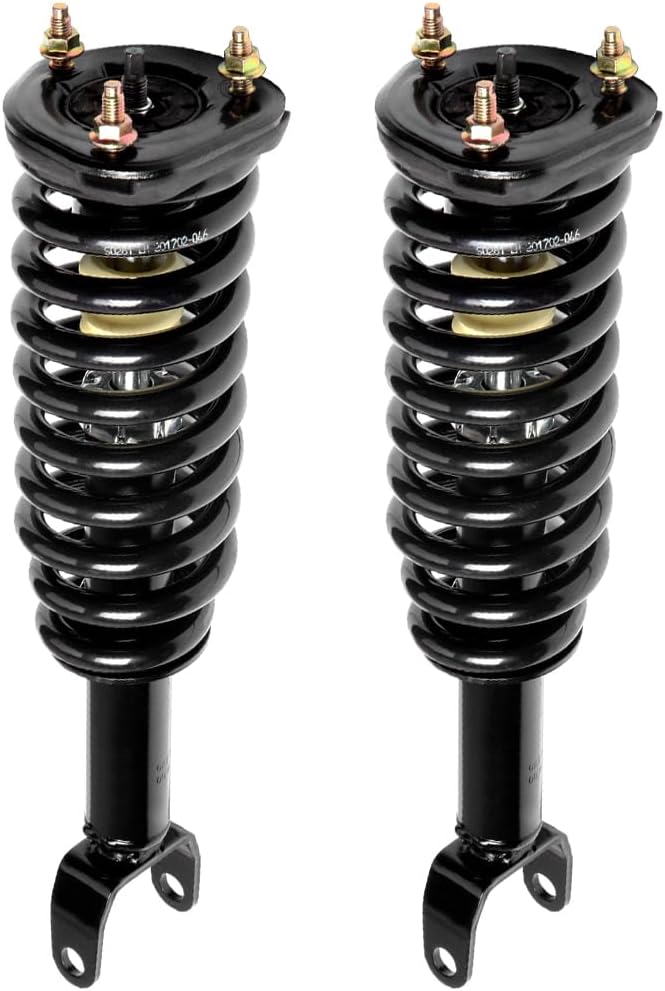 SCITOO Front Struts Assembly for Dodge Dakota 2005-2009 2PCS
