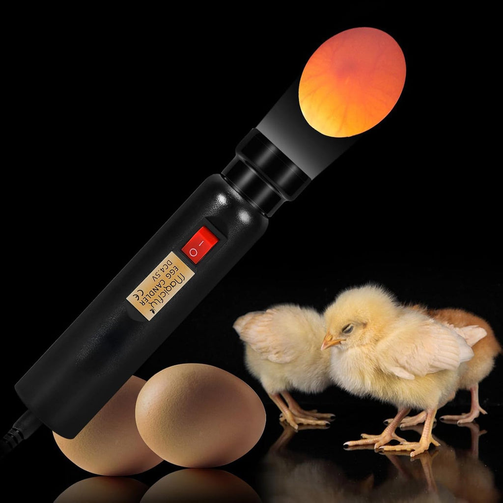 Bright Cool LED Light Egg Candler Tester, Powered Only by Power Supply