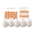 Extended Tips Electrodes Set for CUT-40 CUT-50 Machines