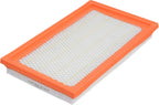 FRAM CA4309 Extra Guard Engine Air Filter