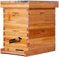Beehive 8 Frame Bee Hives and Supplies Starter Kit, Bee Hive for Beginner, Honey Bee Hives Includes 1 Deep Bee Boxes
