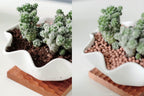 2.0 LB Clay Pebbles, 1/8'' Gardening Ceramsites Growing Media for Succulents Orchids, Aquaponics, Aquaculture