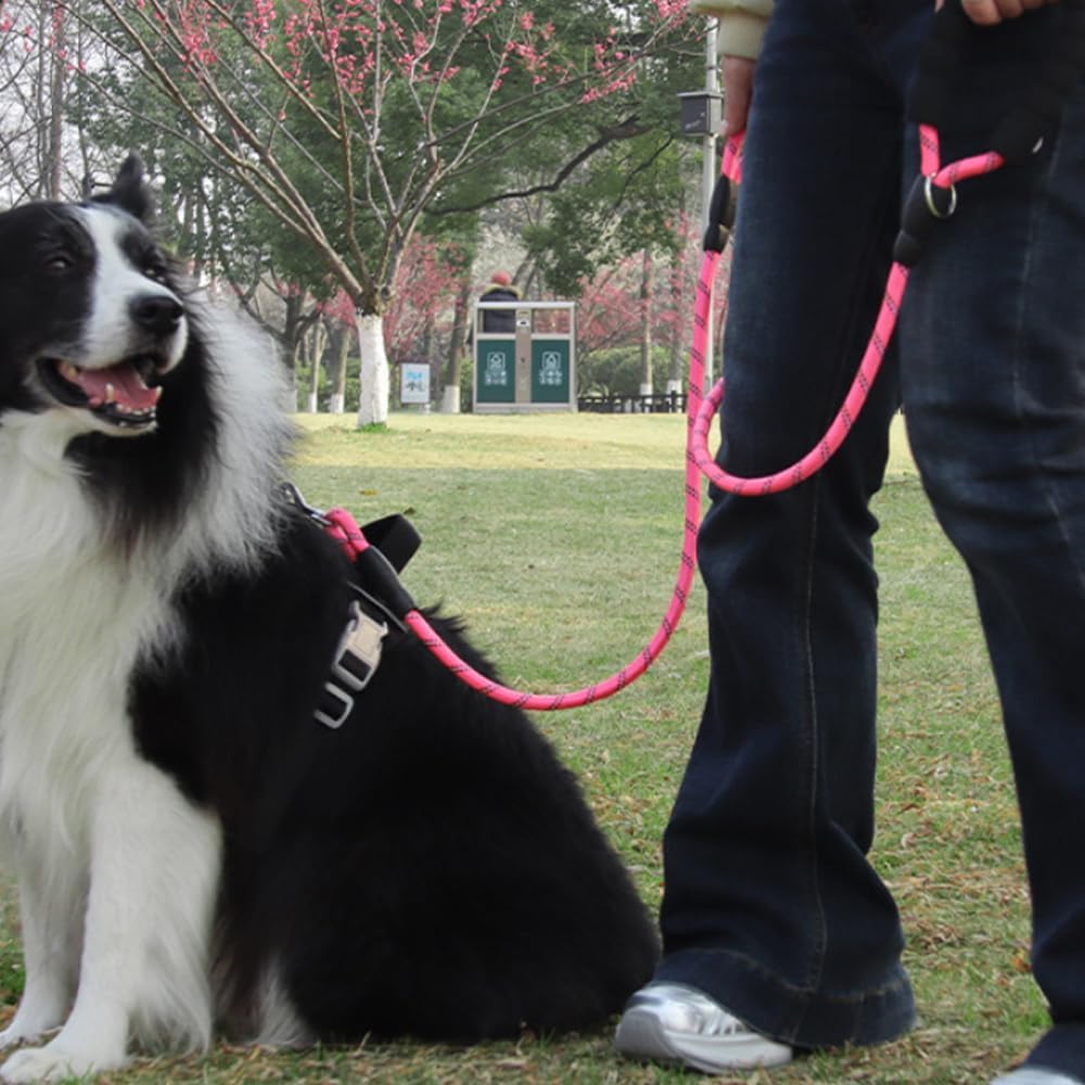 Double Handle Dog Leash 6FT Reflective Rope Lead with Two Handles, Pink