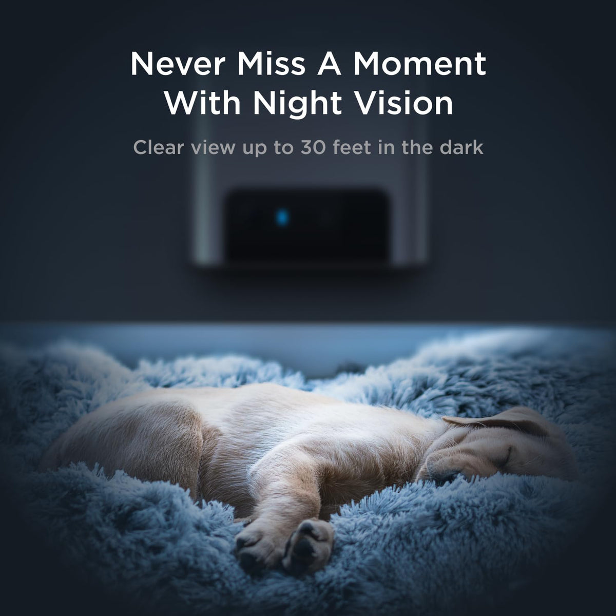 Bites 2 Lite Pet Camera [Subscription Required] - Treat Dispenser