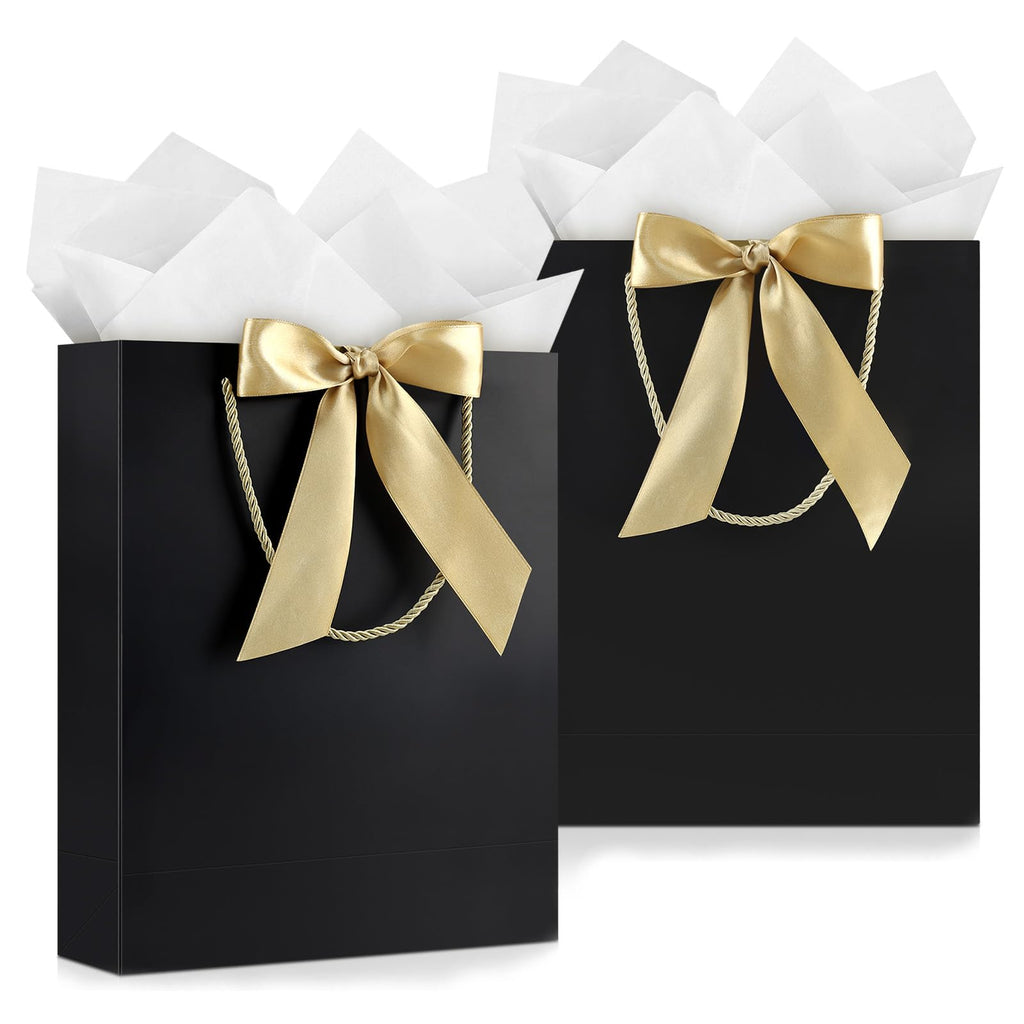 Medium Black Birthday Gift Bags with Tissue Paper & Handles 2-Pack