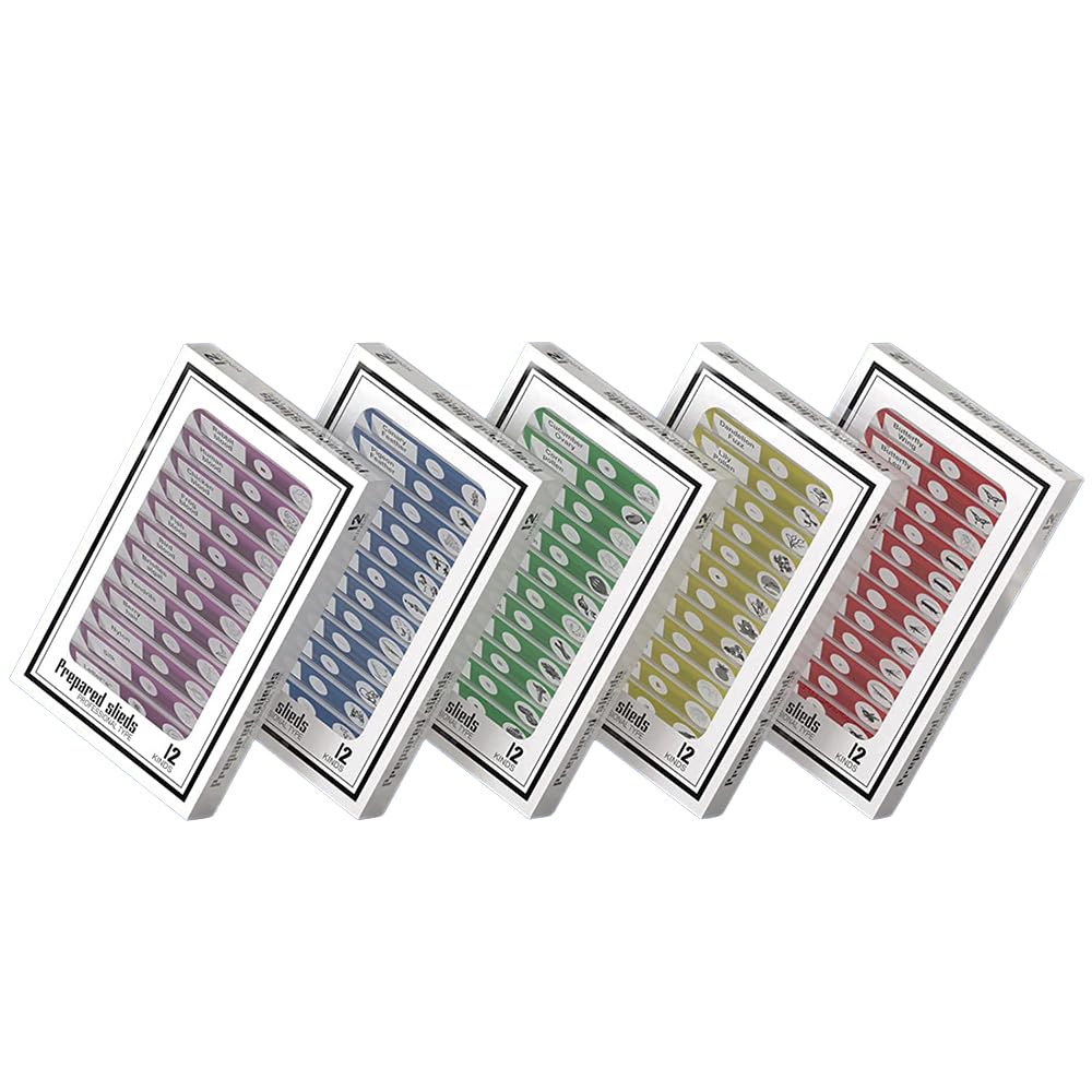 60Pcs Prepared Microscope Slides Specimen Set for Stereo Microscope | Safe Plastic Biological Samples of Animals