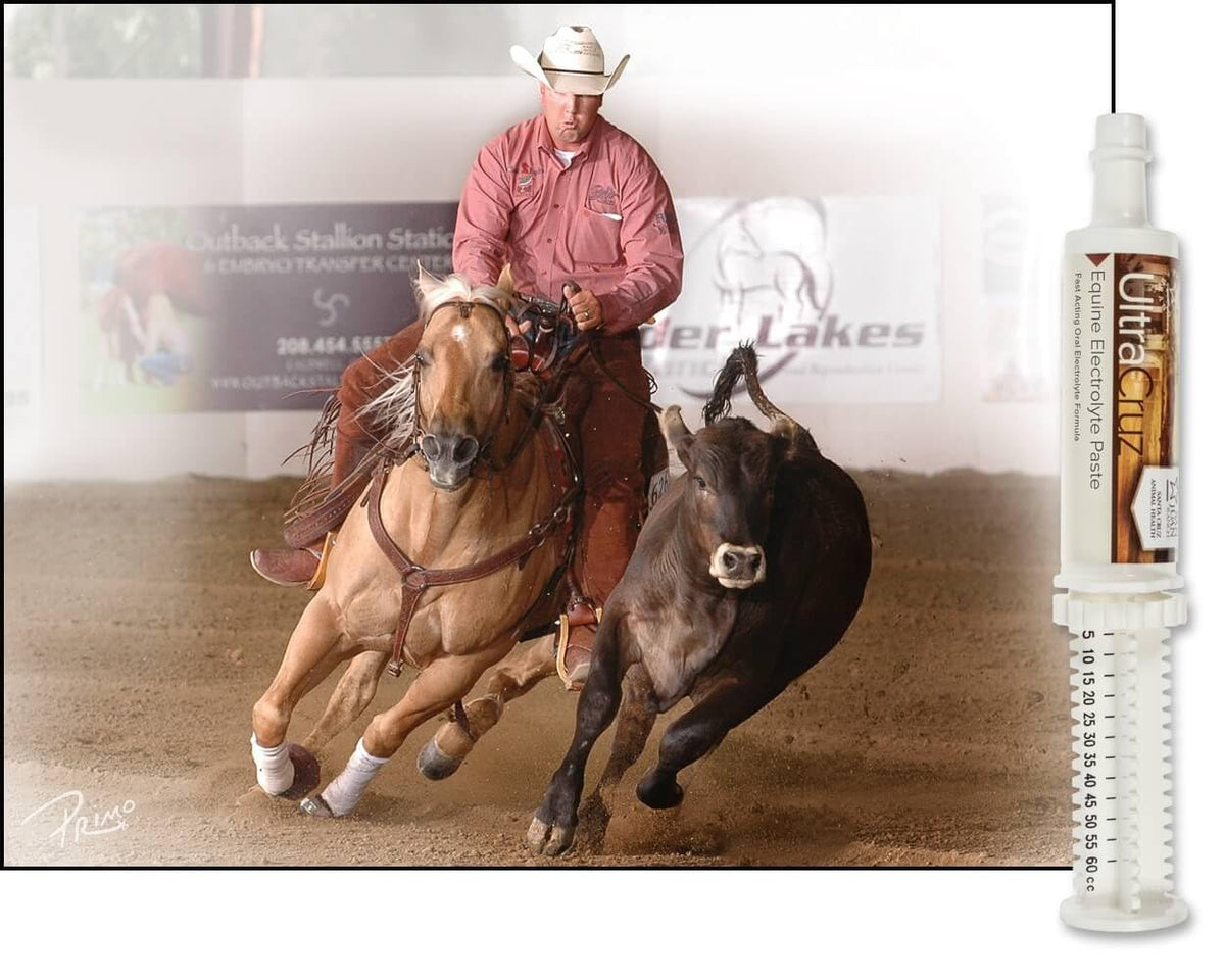 sc-516041 Equine Electrolyte Supplement for Horses, 60 ml, Paste