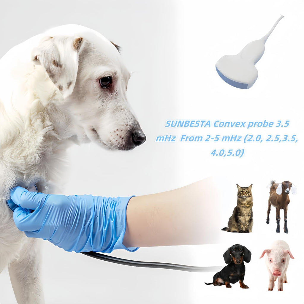N50 Portable Veterinary Ultrasound Machine with 3.5 Mhz Convex Probe