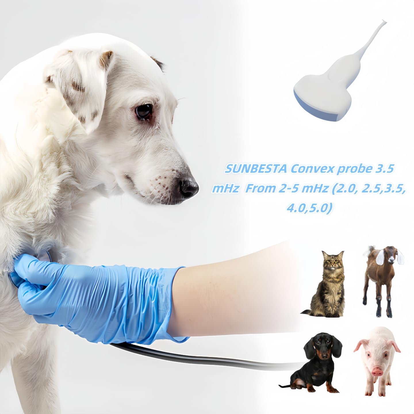 N50 Portable Veterinary Ultrasound Machine for Animal Pregnancy