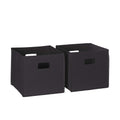 Folding Storage Bins - 2-pack of 10in Tall Black Cubes