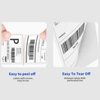 4" x 6" Fanfold Direct Thermal Labels, 1000 Per Stack, White Perforated Shipping Labels Compatible with Zebra, Elton