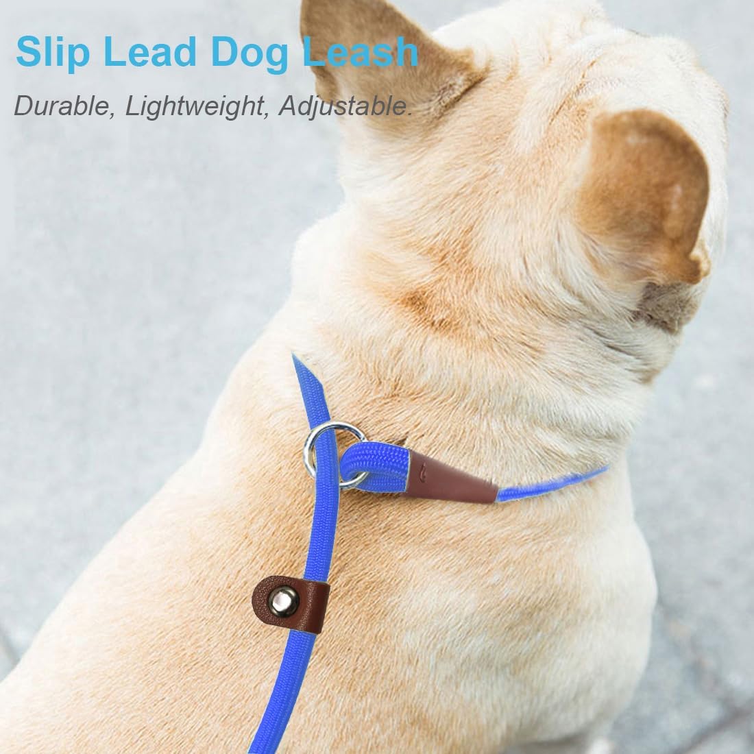 Slip Lead Control Leash for Dogs Training, 7ft x 1/4", Dark Blue