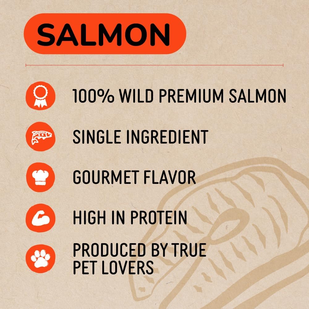 Freeze Dried Salmon Treats | 5oz Bag