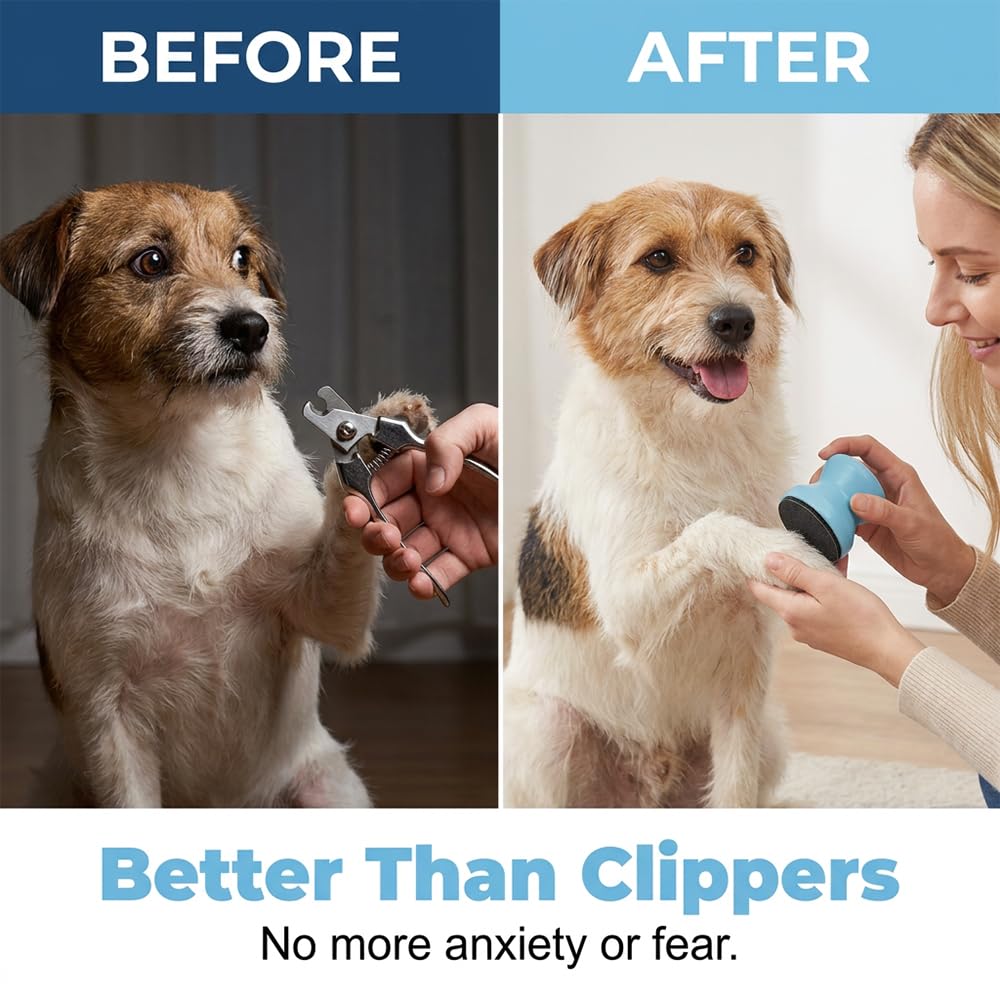 Double Sided Deshedding Brush With Dog Nail File, Pet Pro Grooming Tool, Undercoat Rake And Dematting Comb And Silent