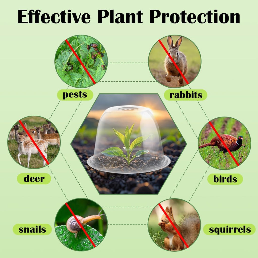 10" D × 6.7" H Plant Protectors from Animals, Garden Cloches for Seedlings Nursery Pots, Durable Humidity Domes with
