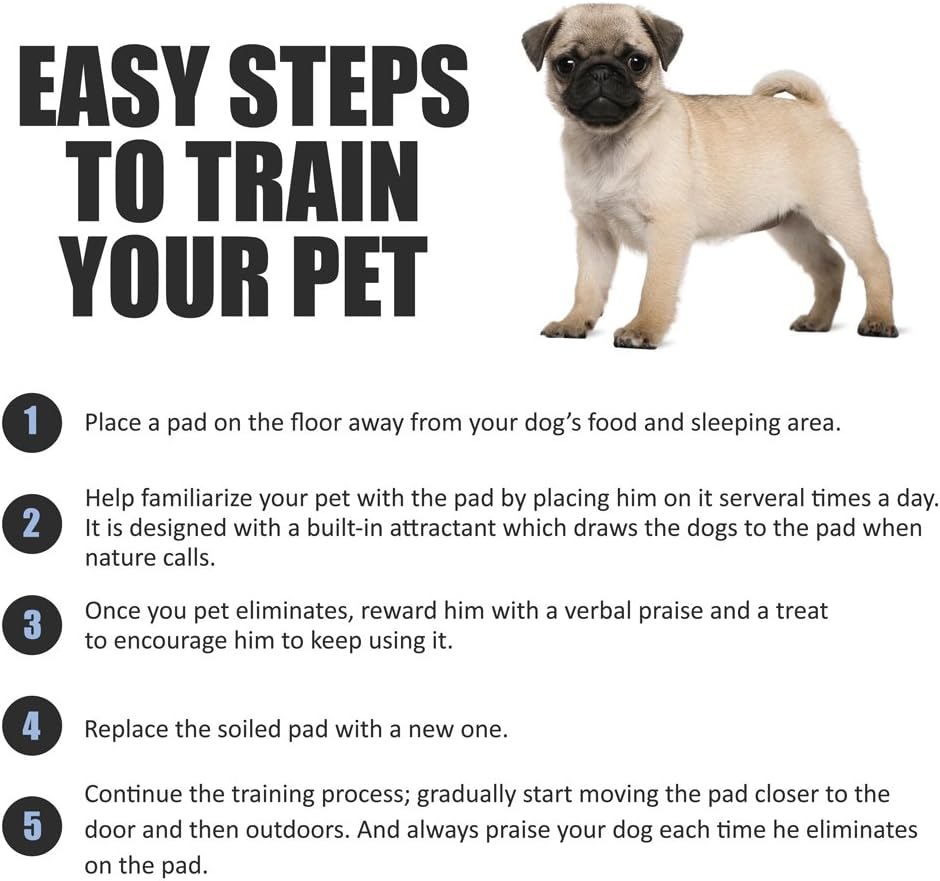 Puppy Pads Leak-Proof 100 Count 22"x 22" - Absorbent Pee Pads for Dogs with 6-Layer Design, Rapid Dry Sheet &