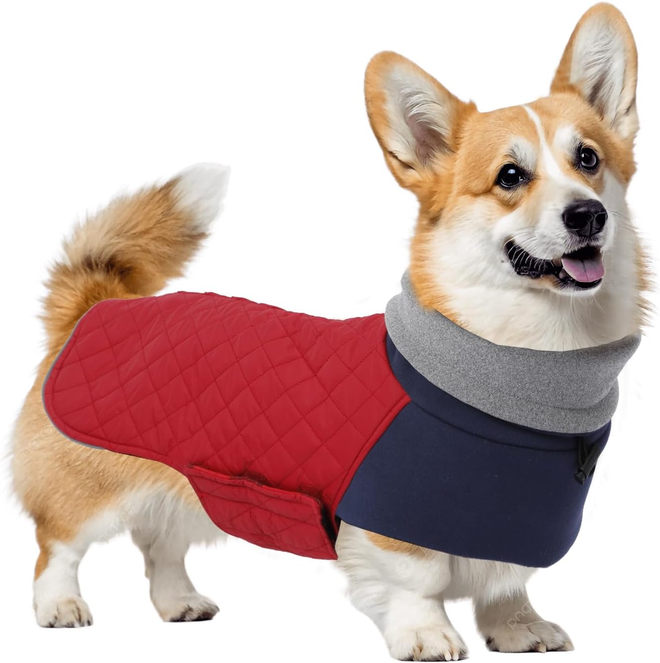 Corgi Sweater for Dogs Corgi Clothes,Miniature Corgi Coat,Corgi Jacket for Dogs Warm Waterproof Windproof,High