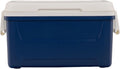 48 Quart Hard Sided Cooler with Swing-Up Handles, Portable Cooler for Camping, Beach, Picnic