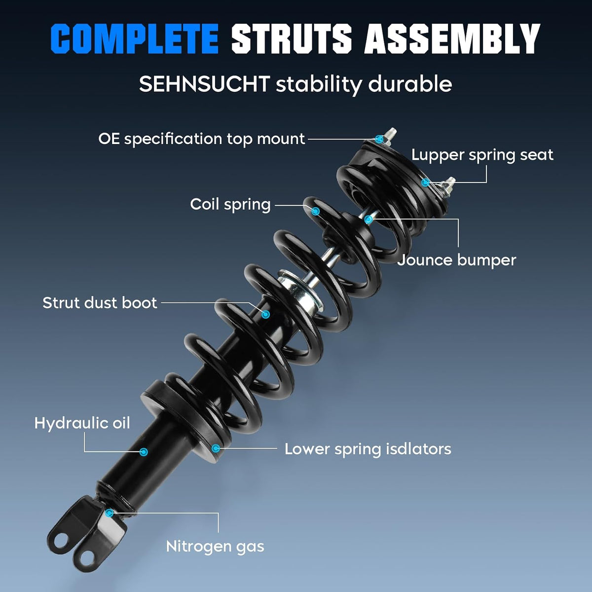 Front Strut Assembly for Dodge Ram 1500 4WD 09-10, for Ram 1500 4WD